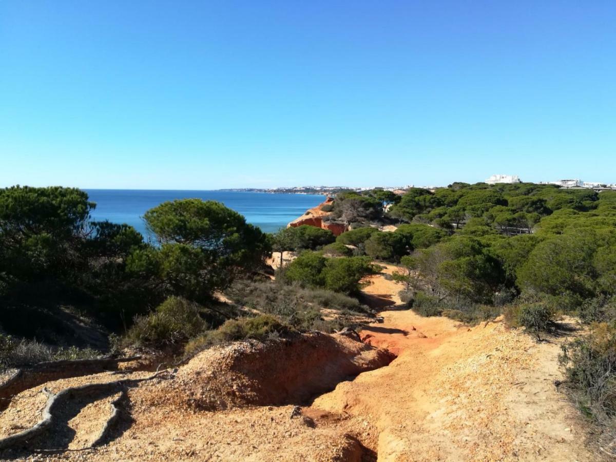 Algarve Friendly Apartment Albufeira Exteriör bild
